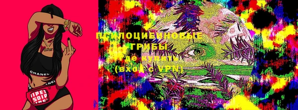 2c-b Волосово