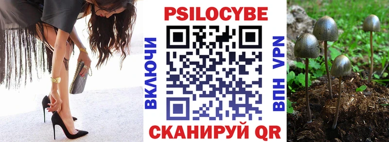 продажа наркотиков  Ярцево  Псилоцибиновые грибы Psilocybe 